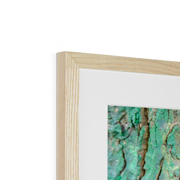 DAUB:TOOTING COMMON Framed & Mounted Print - Amy Adams Photography