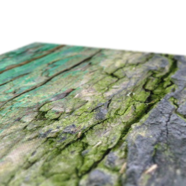 DAUB:TOOTING COMMON Canvas - Amy Adams Photography