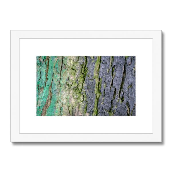DAUB:TOOTING COMMON Framed & Mounted Print - Amy Adams Photography
