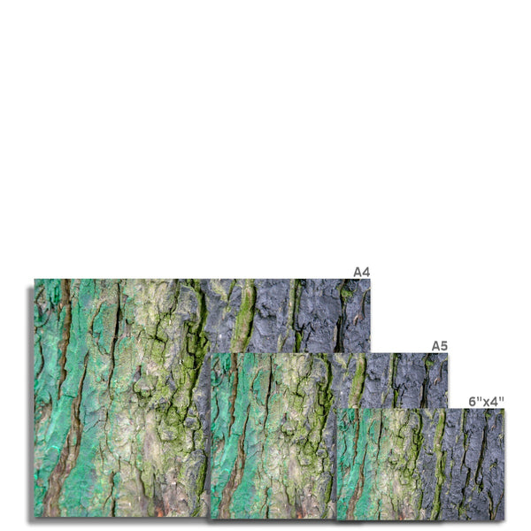 DAUB:TOOTING COMMON Hahnemühle Photo Rag Print - Amy Adams Photography