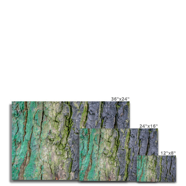 DAUB:TOOTING COMMON Canvas - Amy Adams Photography