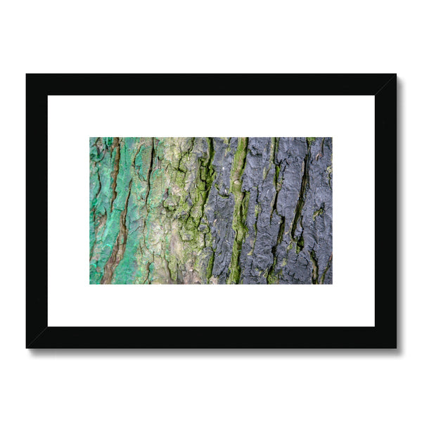 DAUB:TOOTING COMMON Framed & Mounted Print - Amy Adams Photography