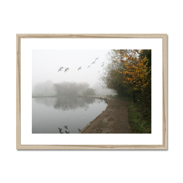 FOGGY TOOTING COMMON POND BIRDS Framed & Mounted Print - Amy Adams Photography