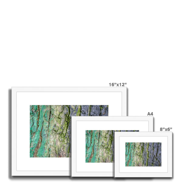 DAUB:TOOTING COMMON Framed & Mounted Print - Amy Adams Photography