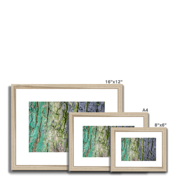 DAUB:TOOTING COMMON Framed & Mounted Print - Amy Adams Photography