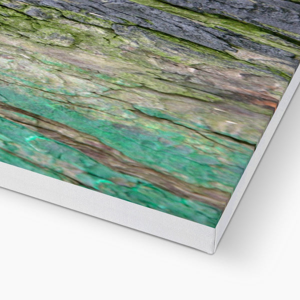 DAUB:TOOTING COMMON Canvas - Amy Adams Photography