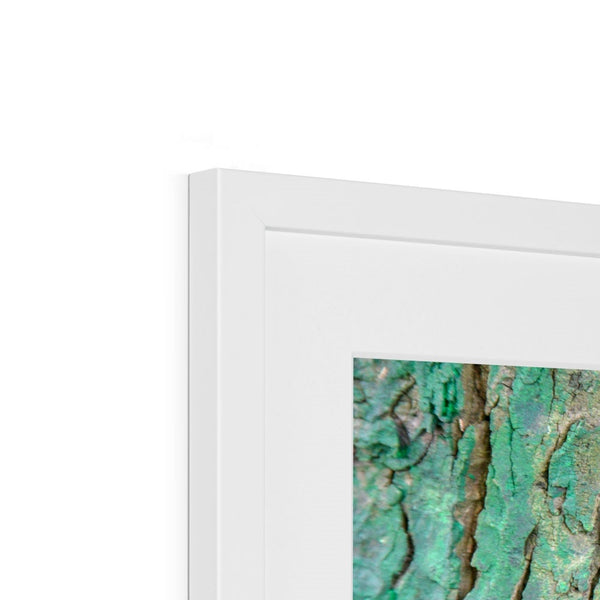 DAUB:TOOTING COMMON Framed & Mounted Print - Amy Adams Photography