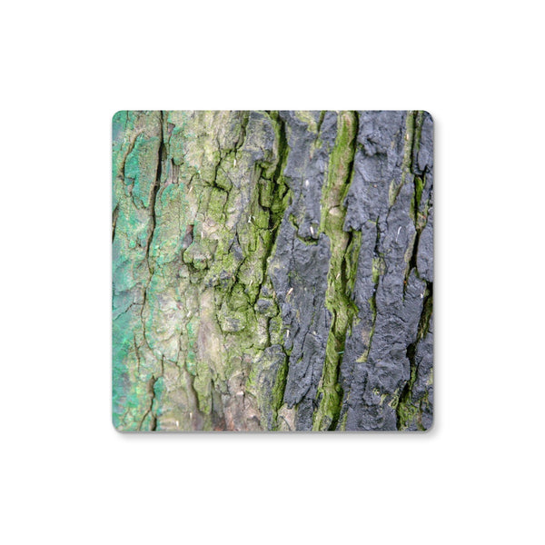 DAUB:TOOTING COMMON Coaster - Amy Adams Photography