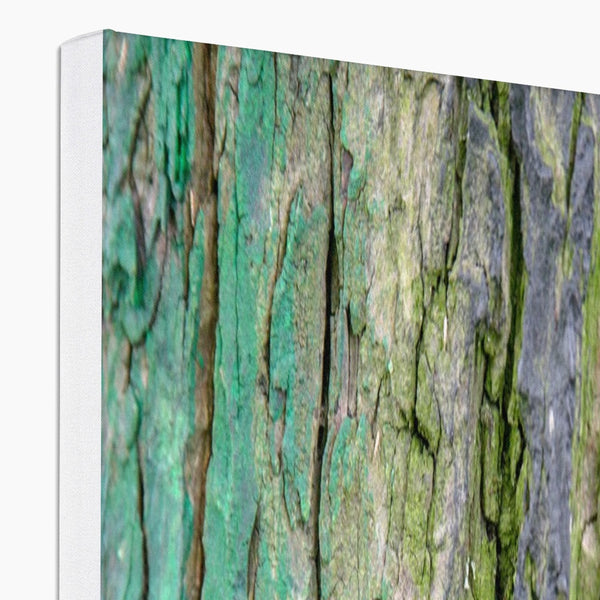 DAUB:TOOTING COMMON Canvas - Amy Adams Photography