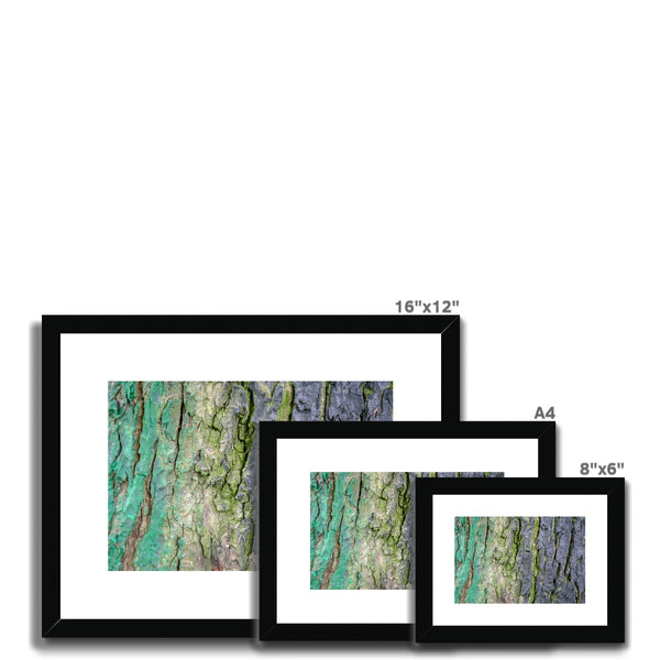 DAUB:TOOTING COMMON Framed & Mounted Print - Amy Adams Photography