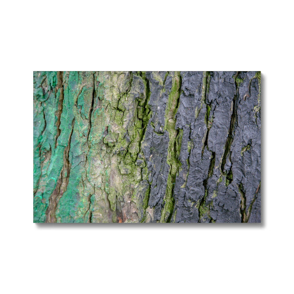 DAUB:TOOTING COMMON Canvas - Amy Adams Photography