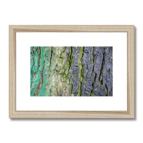 DAUB:TOOTING COMMON Framed & Mounted Print - Amy Adams Photography