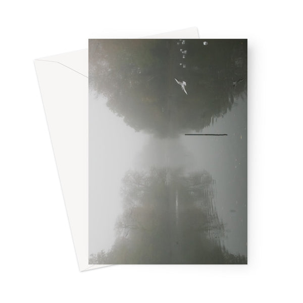 FOGGY POND Greeting Card - Amy Adams Photography