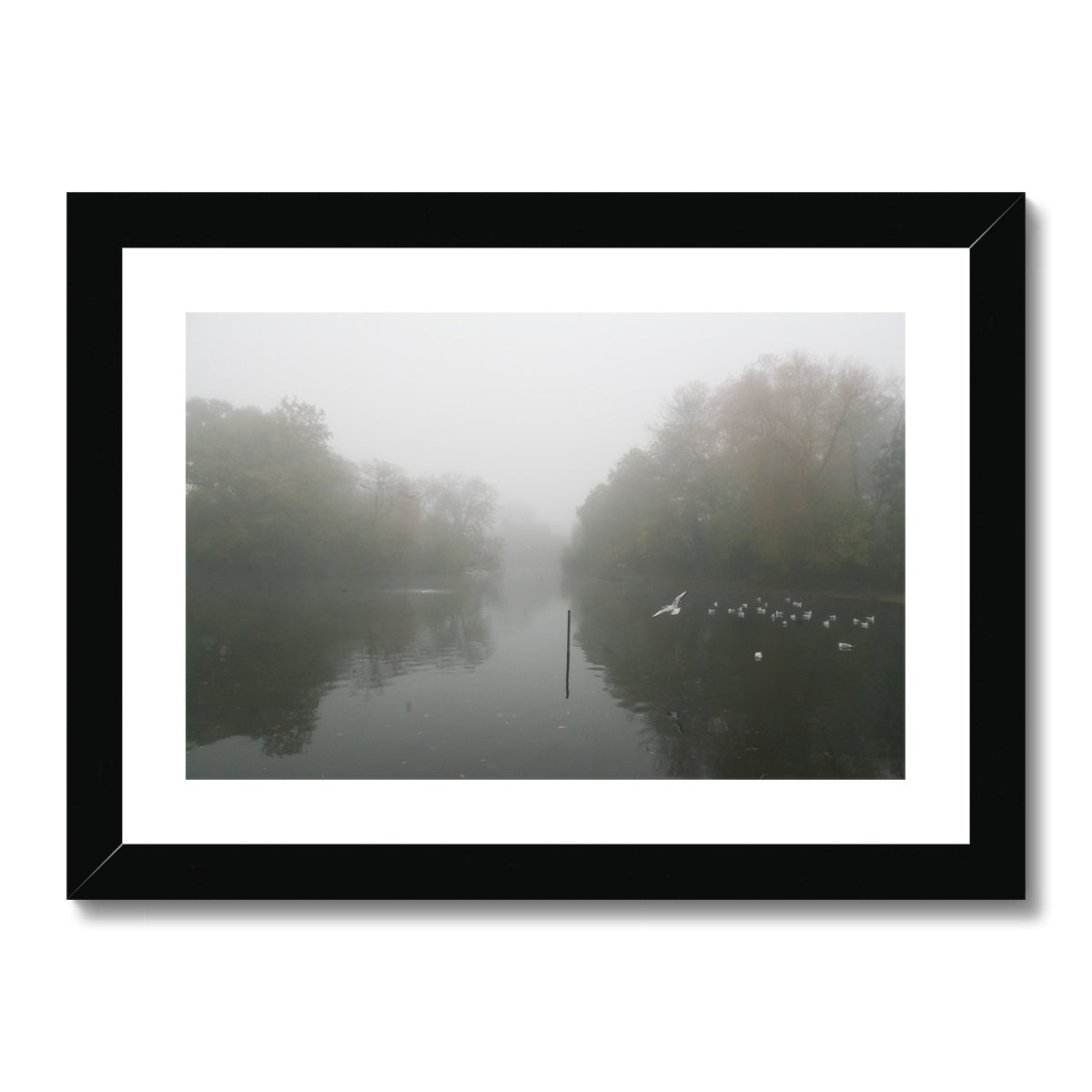FOGGY POND Framed & Mounted Print - Amy Adams Photography