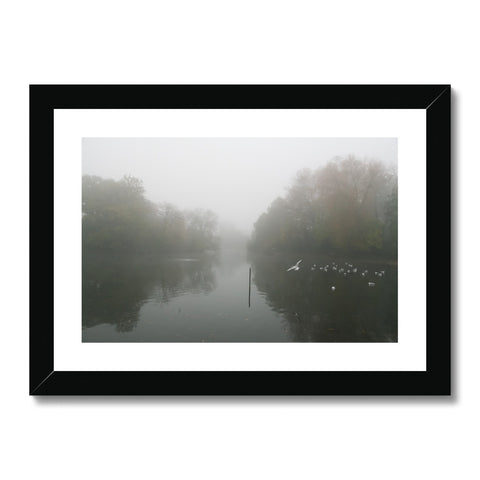 FOGGY POND Framed & Mounted Print - Amy Adams Photography