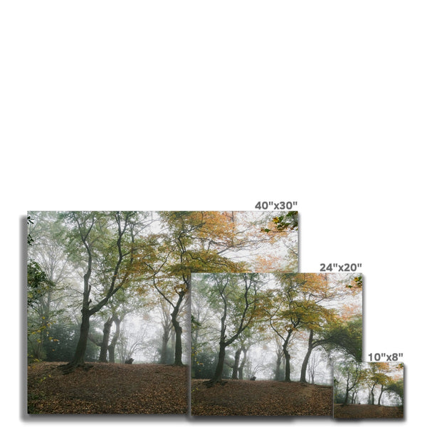 FOGGY GRAVENEY WOODS Canvas - Amy Adams Photography