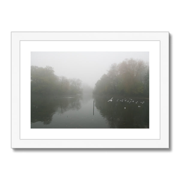 FOGGY POND Framed & Mounted Print - Amy Adams Photography