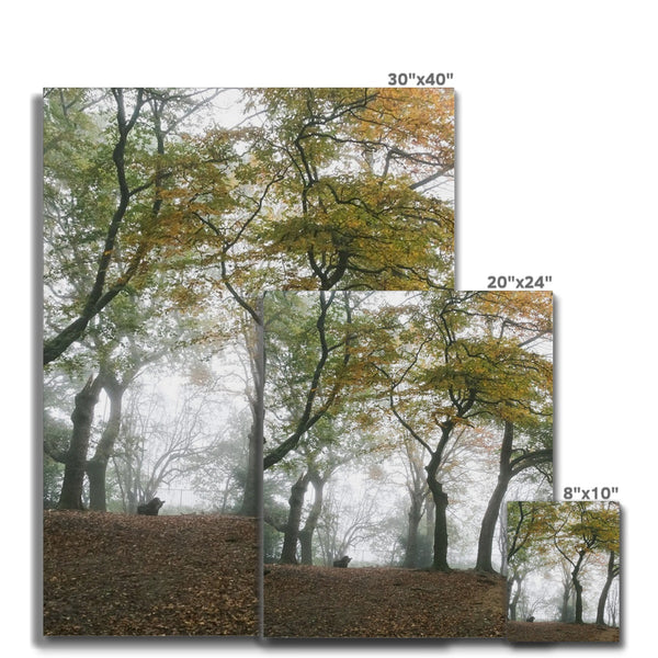 FOGGY GRAVENEY WOODS Canvas - Amy Adams Photography