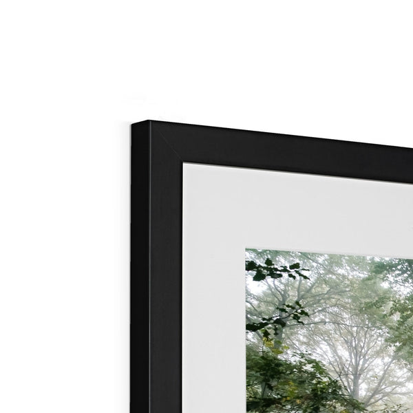 FOGGY GRAVENEY WOODS Framed & Mounted Print - Amy Adams Photography
