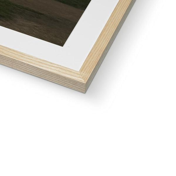 FOGGY PATH Framed & Mounted Print - Amy Adams Photography