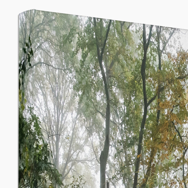 FOGGY GRAVENEY WOODS Canvas - Amy Adams Photography