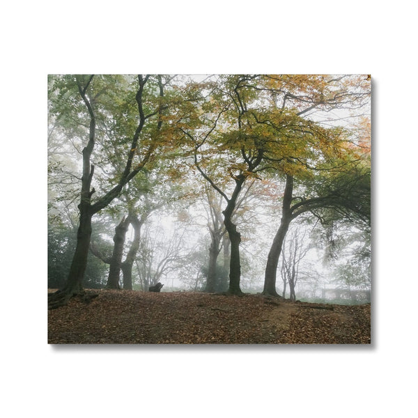 FOGGY GRAVENEY WOODS Canvas - Amy Adams Photography