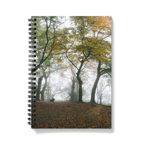 FOGGY GRAVENEY WOODS Notebook - Amy Adams Photography