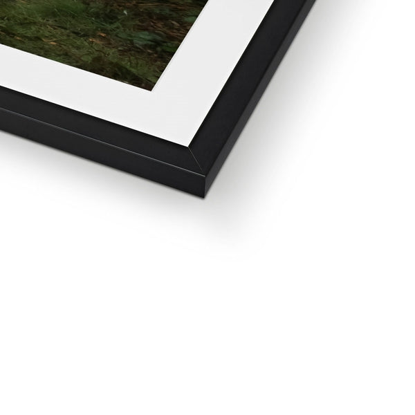 FOGGY TOOTING COMMON POND BIRDS Framed & Mounted Print - Amy Adams Photography