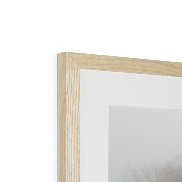 FOGGY PATH Framed & Mounted Print - Amy Adams Photography