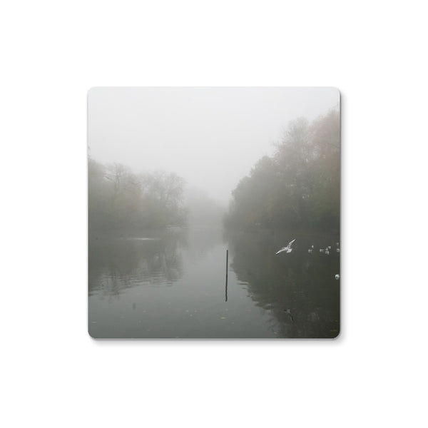 FOGGY POND Coaster - Amy Adams Photography