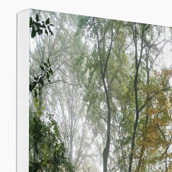 FOGGY GRAVENEY WOODS Canvas - Amy Adams Photography