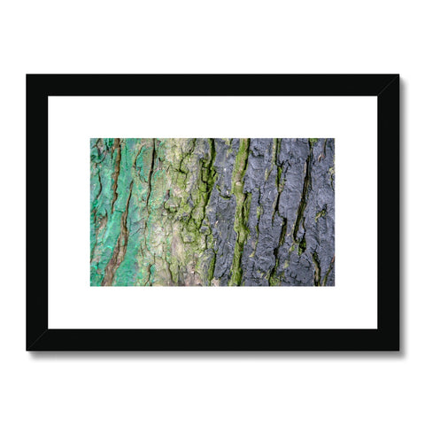 DAUB:TOOTING COMMON Framed & Mounted Print - Amy Adams Photography