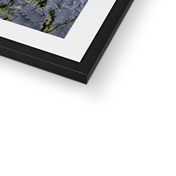 DAUB:TOOTING COMMON Framed & Mounted Print - Amy Adams Photography