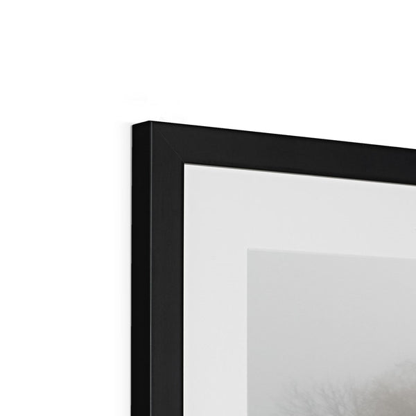 FOGGY PATH Framed & Mounted Print - Amy Adams Photography