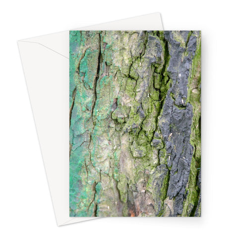 DAUB:TOOTING COMMON Greeting Card - Amy Adams Photography