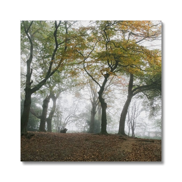 FOGGY GRAVENEY WOODS Canvas - Amy Adams Photography