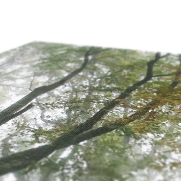 FOGGY GRAVENEY WOODS Canvas - Amy Adams Photography