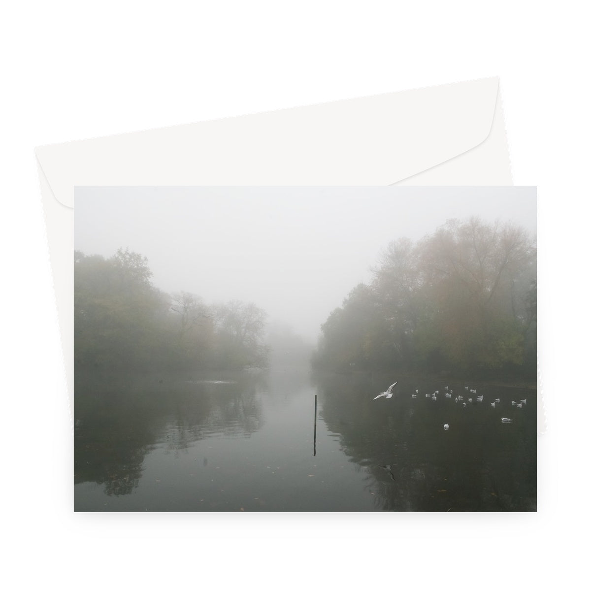 FOGGY POND Greeting Card - Amy Adams Photography