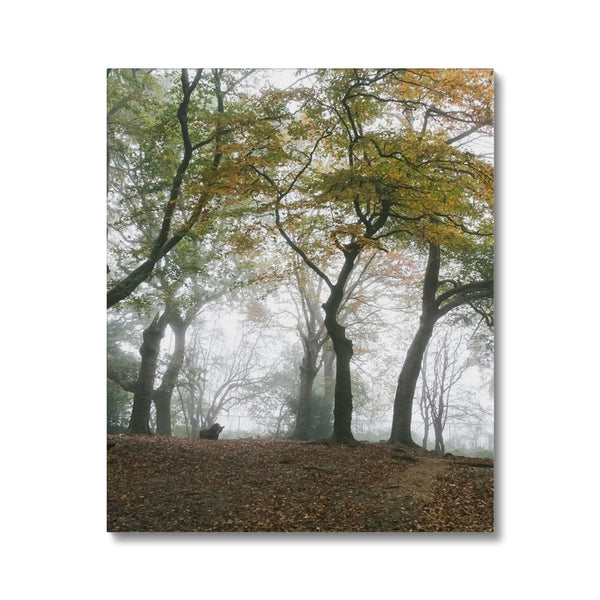 FOGGY GRAVENEY WOODS Canvas - Amy Adams Photography
