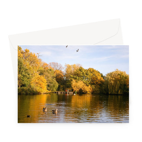 AUTUMN IN TOOTING Greeting Card - Amy Adams Photography