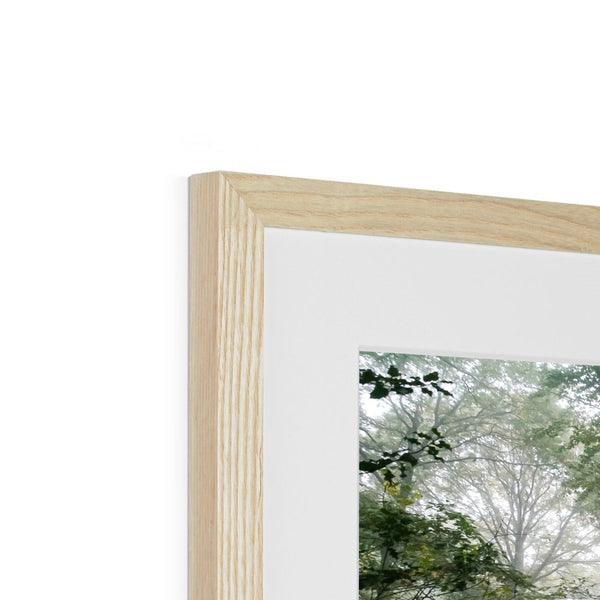 FOGGY GRAVENEY WOODS Framed & Mounted Print - Amy Adams Photography