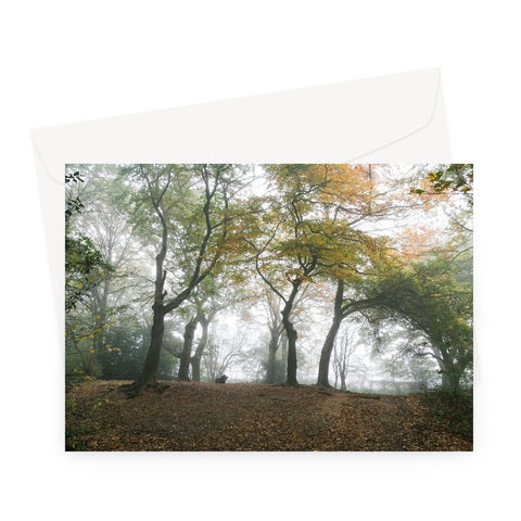 FOGGY GRAVENEY WOODS Greeting Card - Amy Adams Photography