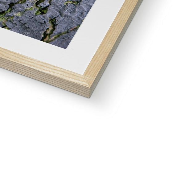 DAUB:TOOTING COMMON Framed & Mounted Print - Amy Adams Photography