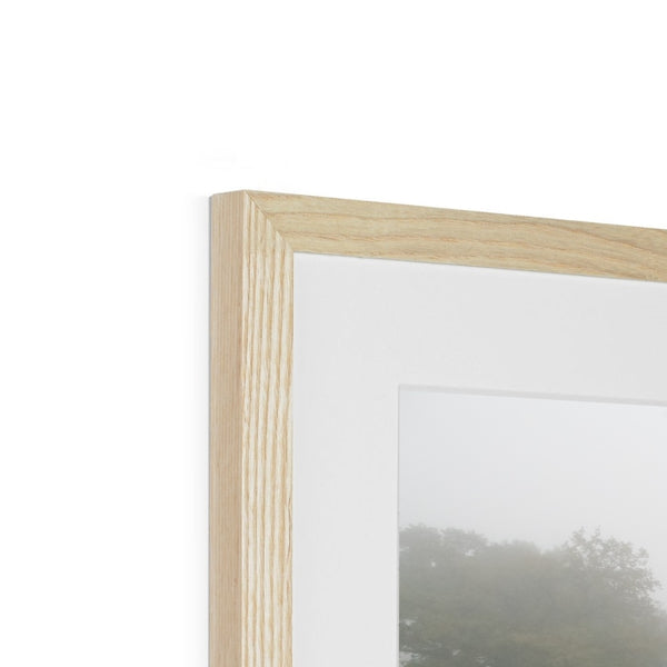 FOGGY POND Framed & Mounted Print - Amy Adams Photography