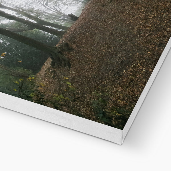 FOGGY GRAVENEY WOODS Canvas - Amy Adams Photography