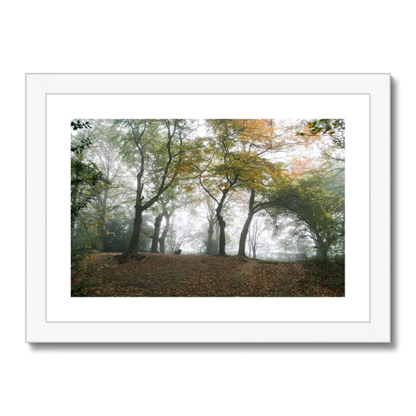 FOGGY GRAVENEY WOODS Framed & Mounted Print - Amy Adams Photography