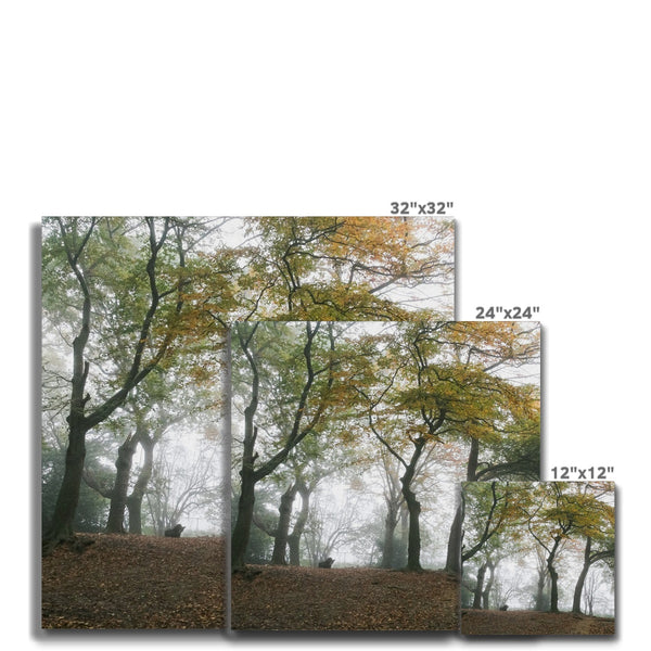 FOGGY GRAVENEY WOODS Canvas - Amy Adams Photography