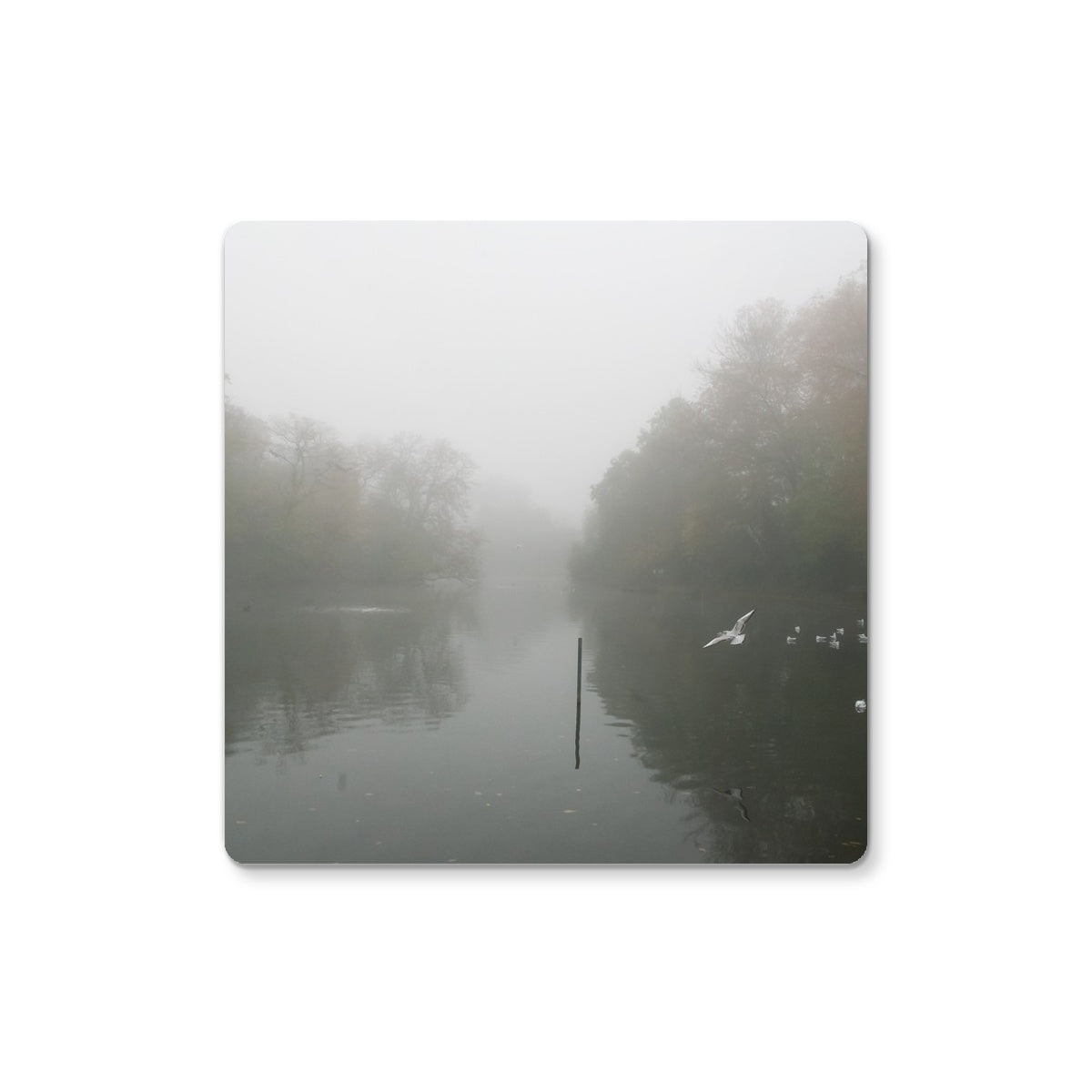 FOGGY POND Coaster - Amy Adams Photography