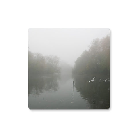 FOGGY POND Coaster - Amy Adams Photography