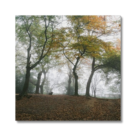 FOGGY GRAVENEY WOODS Canvas - Amy Adams Photography